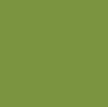 Oxford olive Satin Lamour linen rental for rustic and outdoor events in Northwest Indiana